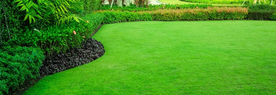 Gepflegter grüner Rasen